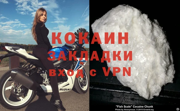 PSILOCYBIN Майский