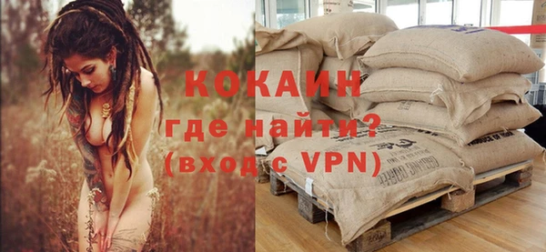 PSILOCYBIN Майский