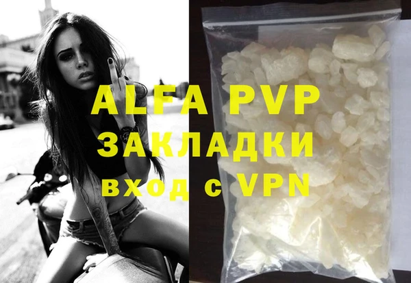 PSILOCYBIN Майский
