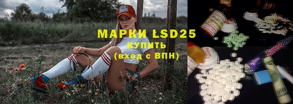 хмурый Лиски