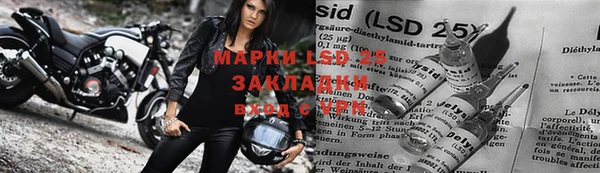 PSILOCYBIN Майский