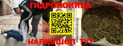 твердый Гай