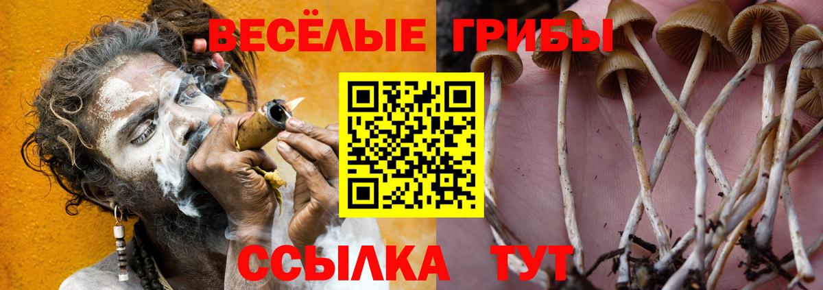 Галлюциногенные грибы GOLDEN TEACHER  Вход с VPN  Канаш 