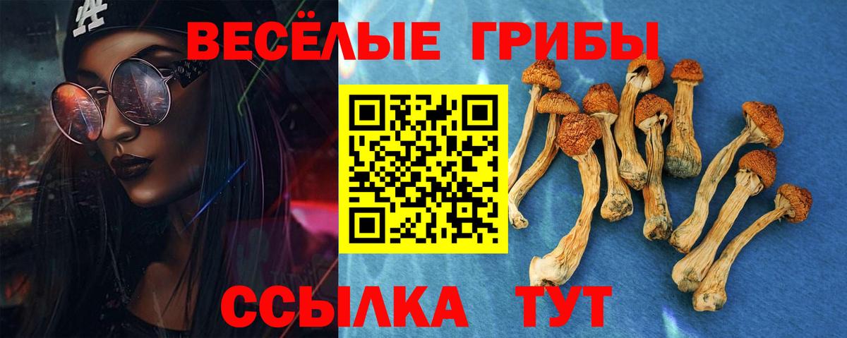 Галлюциногенные грибы GOLDEN TEACHER Канаш