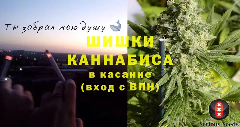 Канабис планчик  где продают наркотики  Канаш 